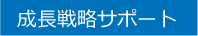 成長戦略サポート